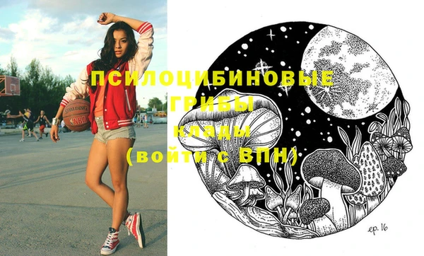 ешки Балахна