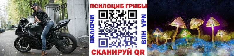купить наркотик  Иноземцево  Галлюциногенные грибы Psilocybine cubensis 